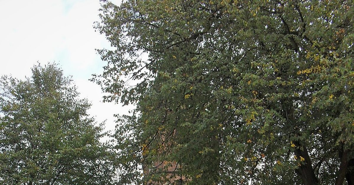 Kościół parafii Kościół Imienia NMP w Grobla — zdjęcie