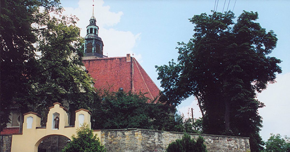 Kościół parafii Kościół Matki Boskiej Szkaplerznej w Chrząszczyce — zdjęcie