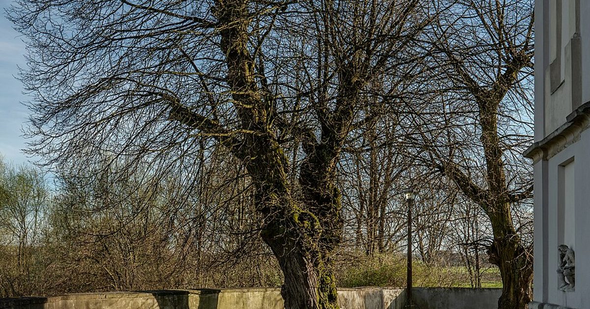Kościół parafii Kościół Narodzenia NMP w Książ Mały — zdjęcie