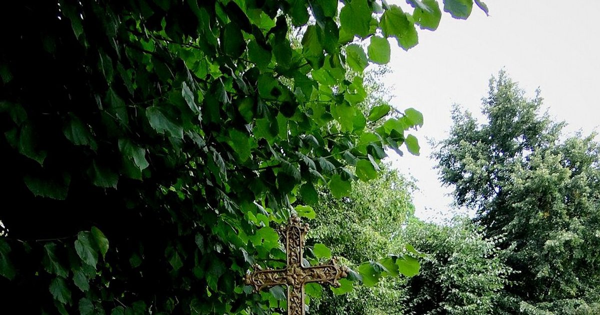 Kościół parafii Kościół Narodzenia NMP w Mikołajewice — zdjęcie