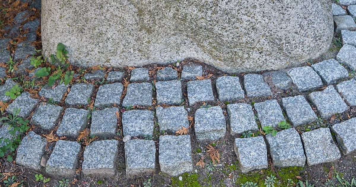Kościół parafii Kościół Przemienienia Pańskiego w Kamień — zdjęcie
