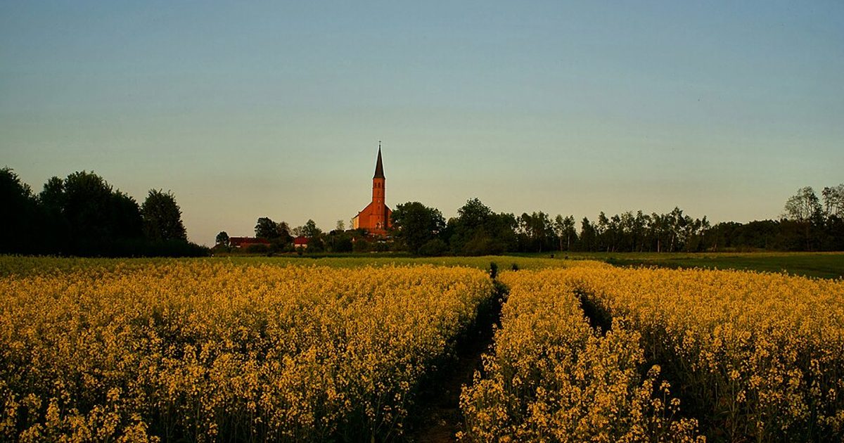 Kościół parafii Kościół św. Jana Chrzciciela w Grodowiec — zdjęcie