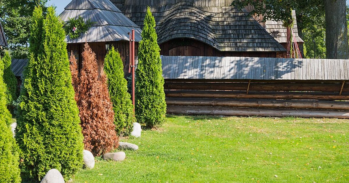 Kościół parafii Kościół św.Michała Archanioła w Dębno — zdjęcie