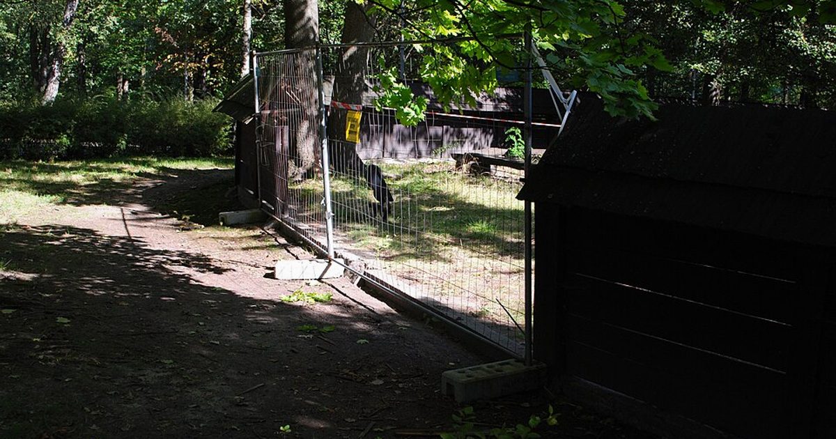 Dzieła sztuki sakralnej — Kościół św. Michała, Katowice. Zdjęcie: Wikimedia Commons.