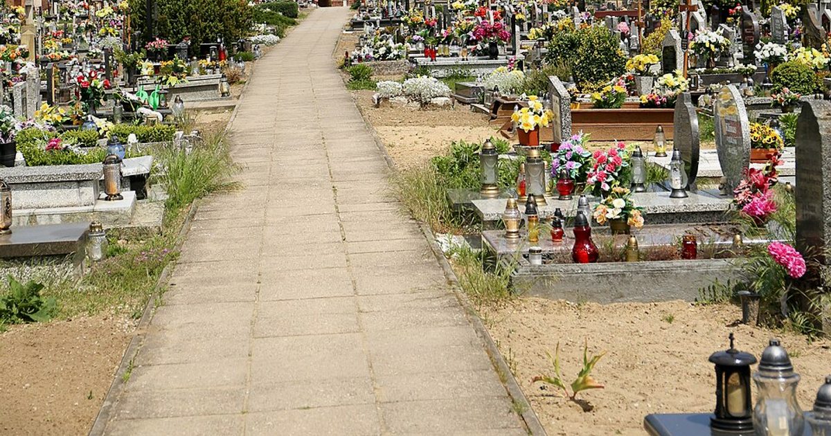 Kościół parafii Kościół św. Stanisława Biskupa w Fałkowice — zdjęcie