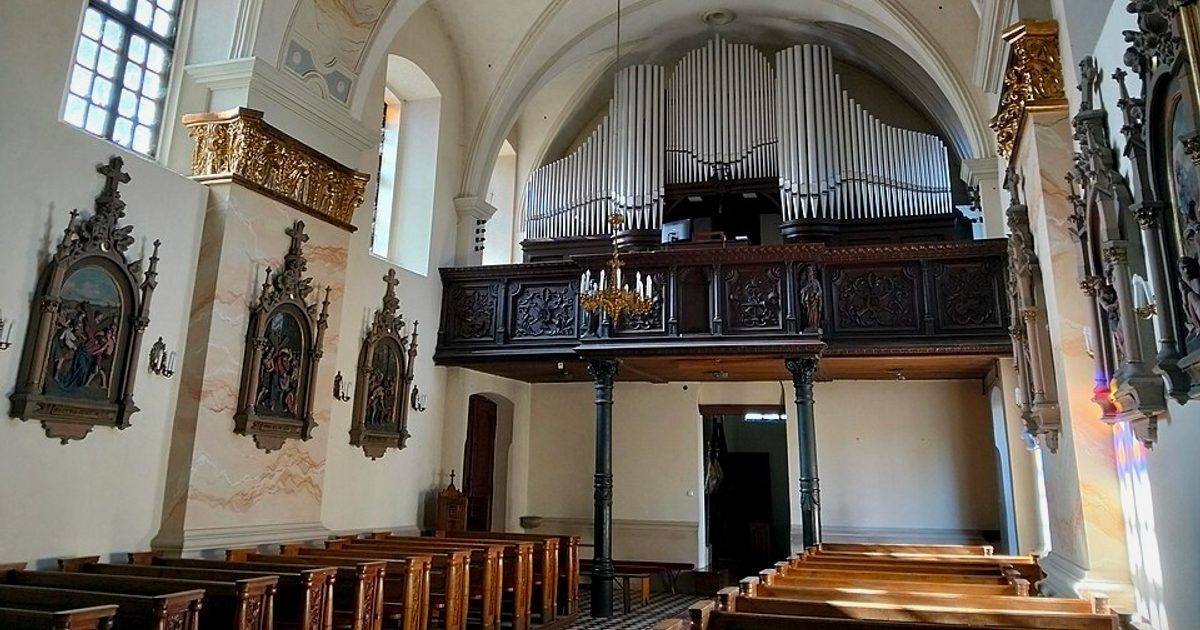 Kościół parafii Kościół Trójcy Świętej w Działoszyce — zdjęcie