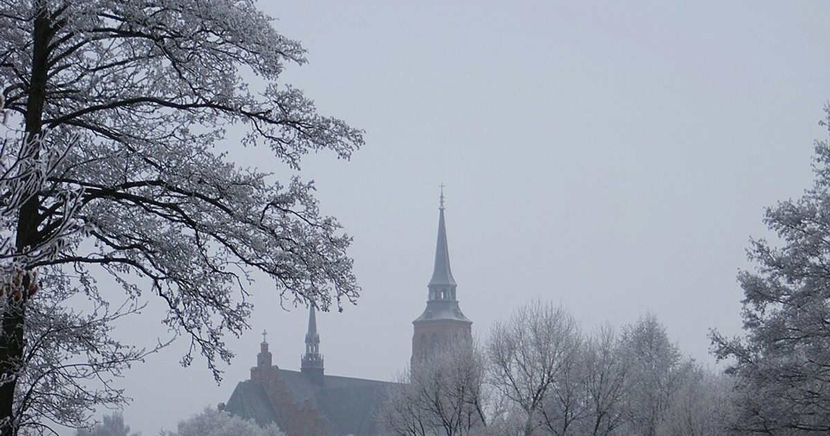 Kościół parafii Kościół Wniebowzięcia NMP w Stoczek Łukowski — zdjęcie