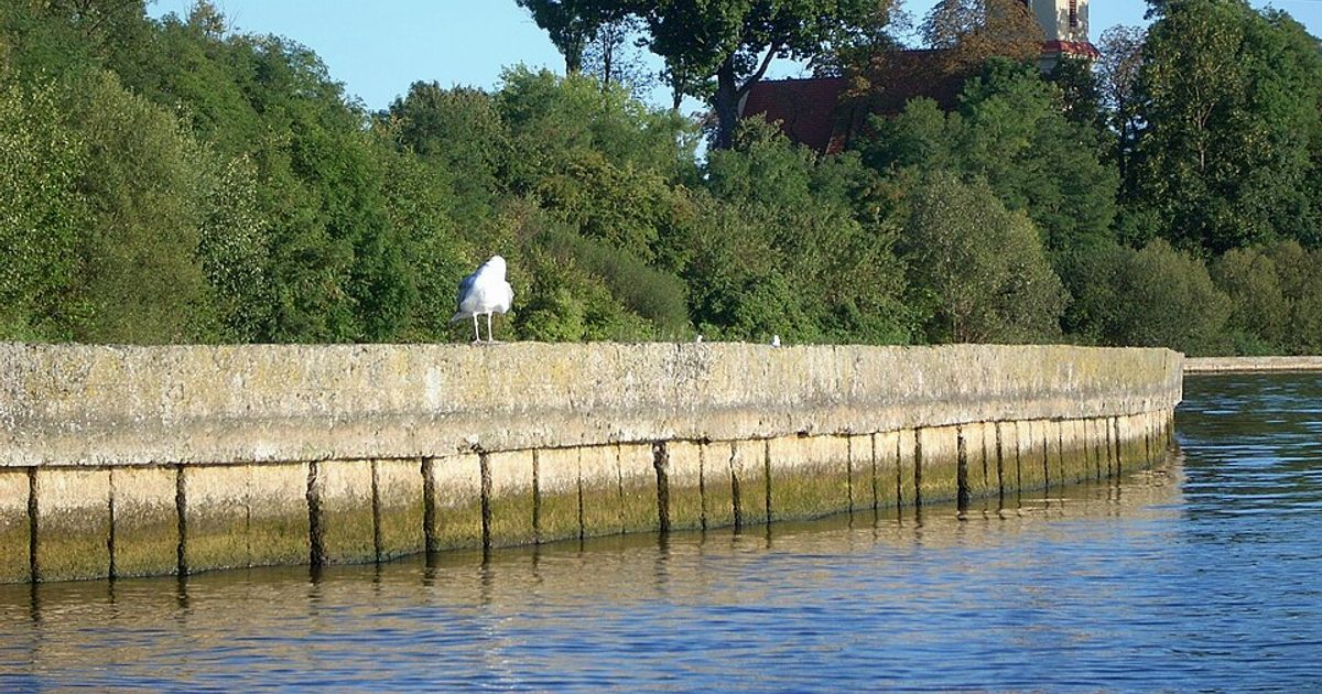 Kościół parafii Kościół Wszystkich Świętych w Wąsosze — zdjęcie