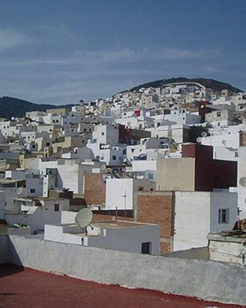 Tetta