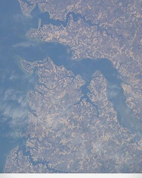 Virginia