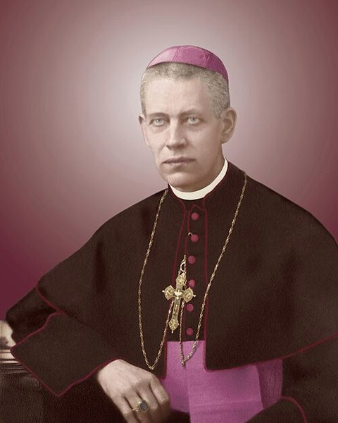 Antoni Durcovici