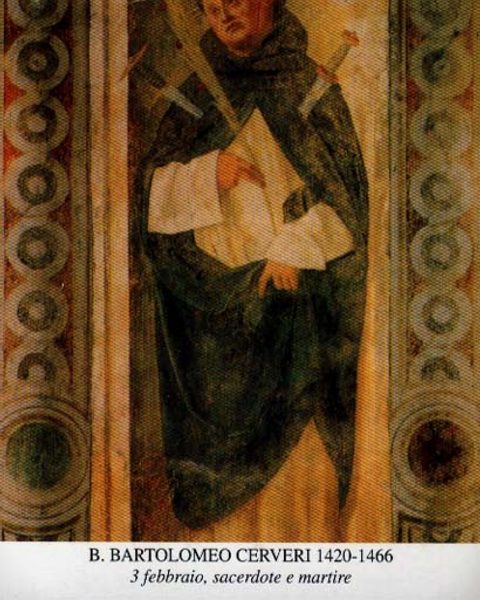 Bartłomiej Cerveri