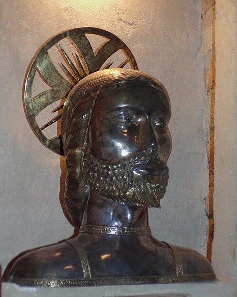 Calocerus