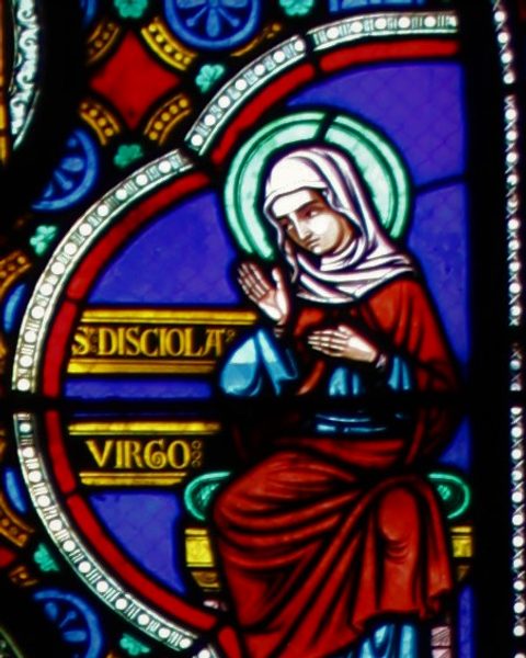 Disciole