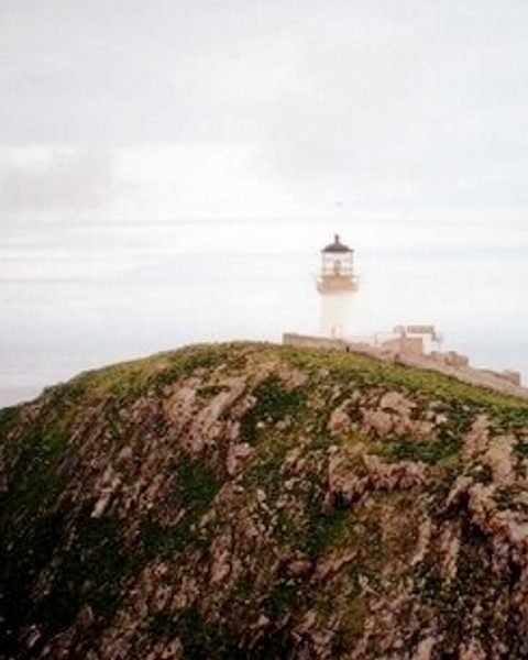 Flannan