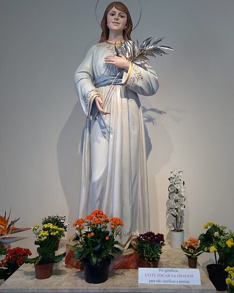 Isabel Cristina Mrad Campos