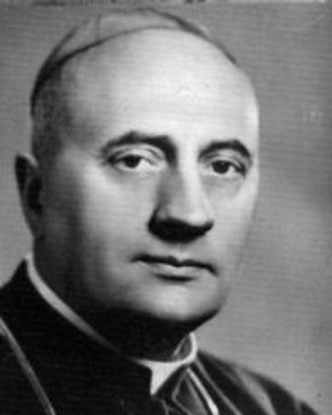 Jan Scheffler
