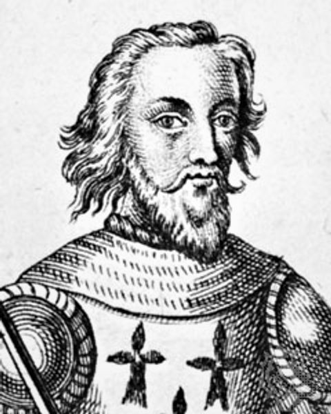 Karol de Blois