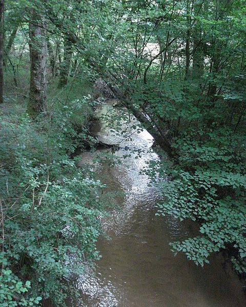 Lidoire