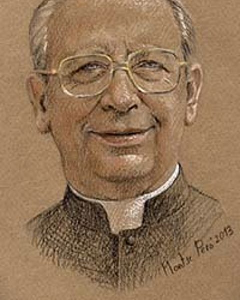 Álvaro del Portillo