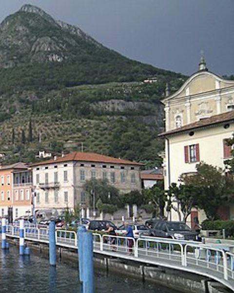 Marone