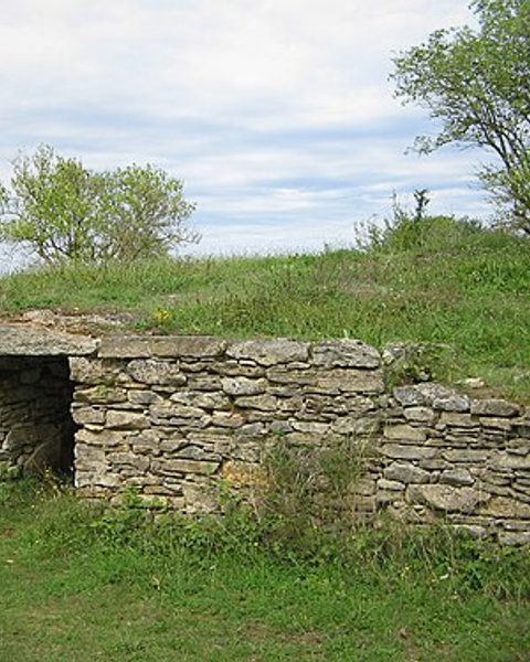 Sainte Soline