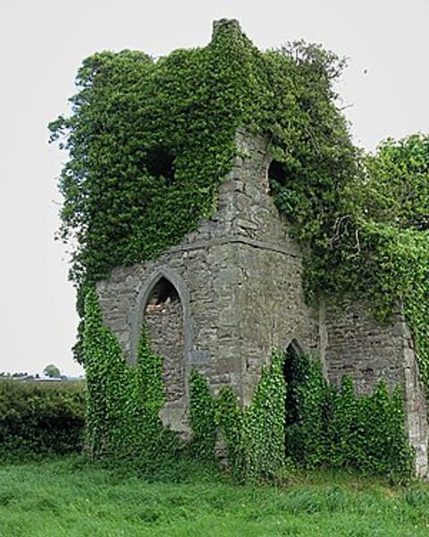 Scuithin
