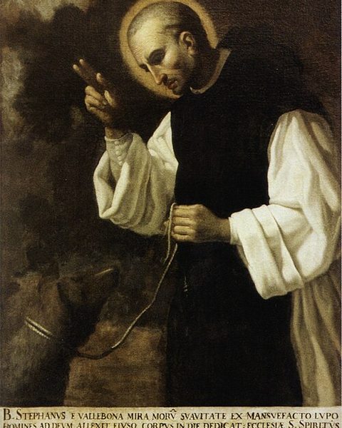 Stefano del Lupo